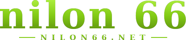 nilon 66 logo